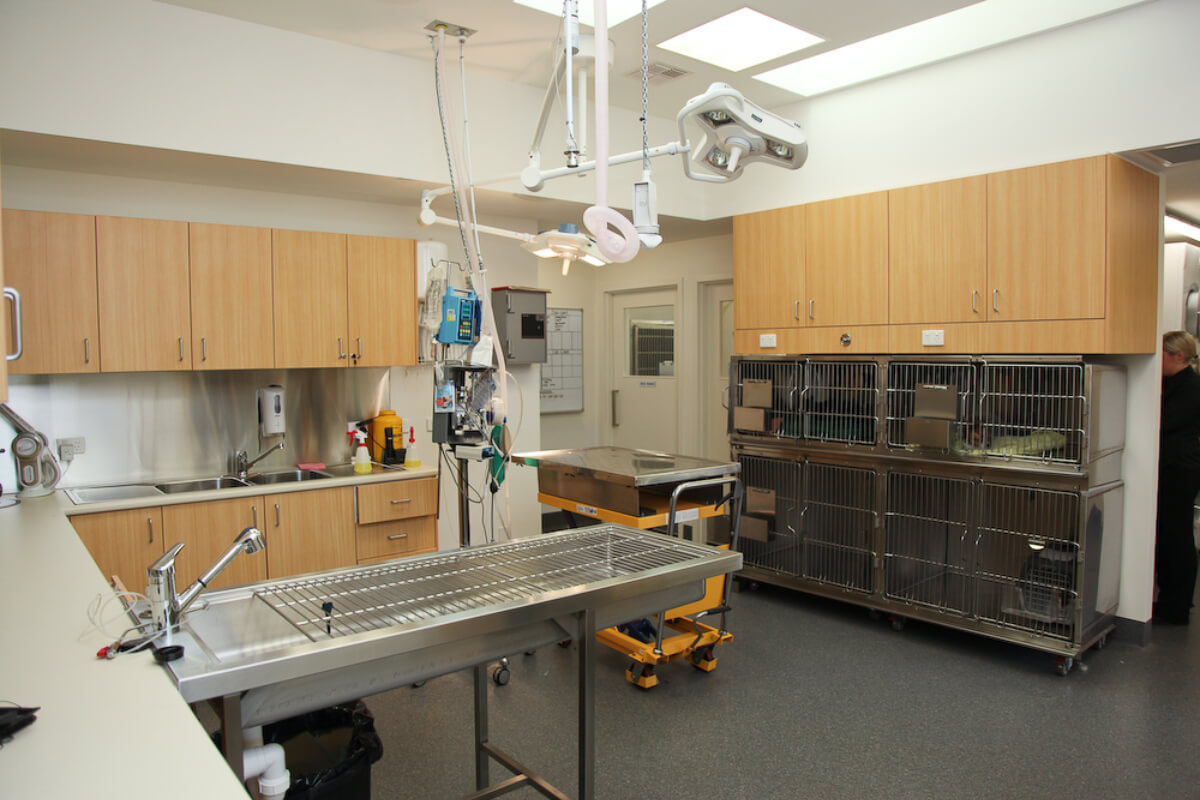 Eltham Veterinary Practice - Modern Equipment and Facilities